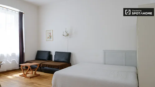 Studio at Rauchfangkehrergasse, image 3 of 19