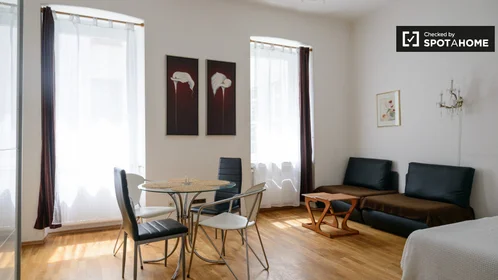 Studio at Rauchfangkehrergasse, image 4 of 19