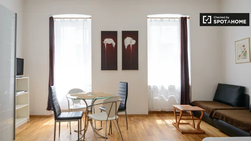 Studio at Rauchfangkehrergasse, image 6 of 19