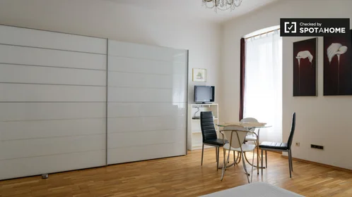 Studio at Rauchfangkehrergasse, image 7 of 19