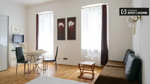 Studio at Rauchfangkehrergasse, image 8 of 19