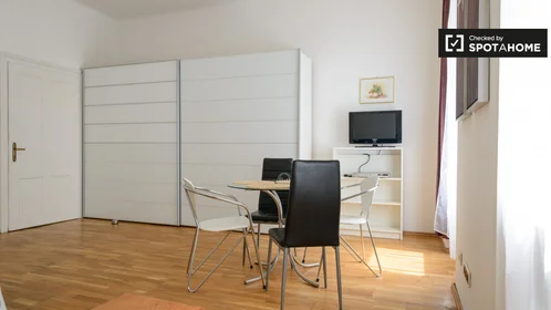 Studio at Rauchfangkehrergasse, image 10 of 19