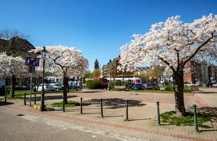 Apartamento inteiro em Sonnenstraße, 40227 Düsseldorf, Germany, imagem 33 de 38