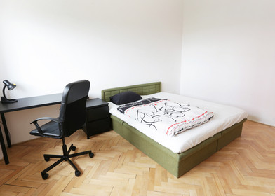 Pokój do wynajęcia z podwójnym łóżkiem w Brno