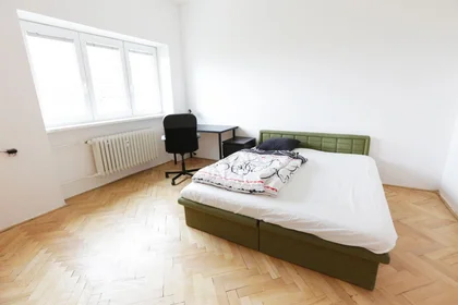 Chambre privée à Chaloupeckého náměstí 2, image 11 de 14