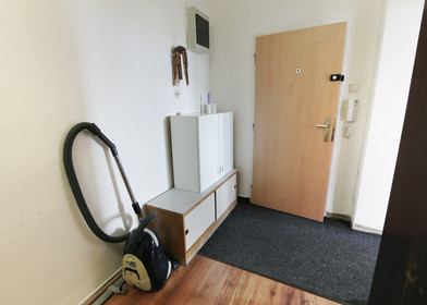 Chambre à louer dans un appartement en colocation à Brno