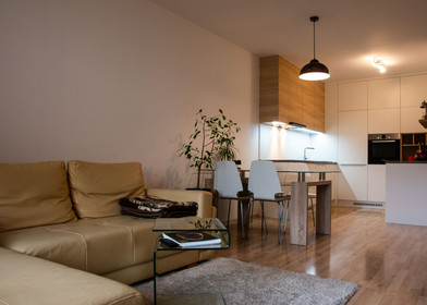 Modern and bright flat in Brno