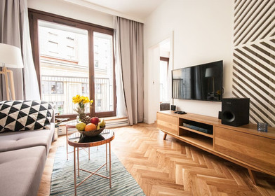 Entire fully furnished flat in warszawa