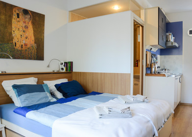Two bedroom accommodation in Bratislava