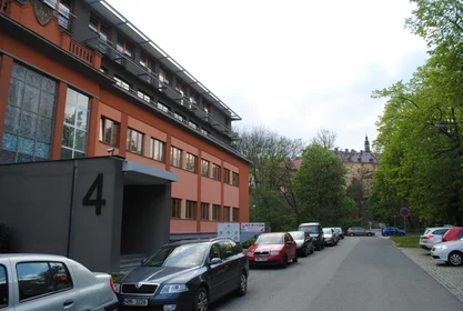 Całe miejsce U Reálky 4, obraz 14 20
