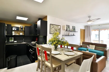 Private room at Nice, 06200, image 4 of 17