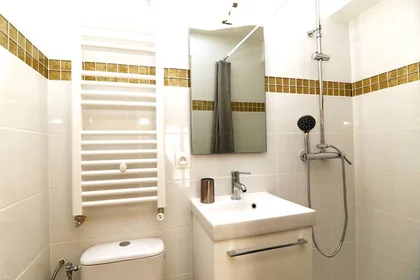 Private room at Nice, 06200, image 8 of 17