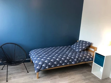 Habitación en alquiler con cama doble Orleans