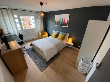Private room at Strasbourg, 67100, image 1 of 8