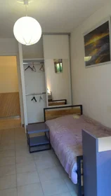 Habitación privada en Nice, 06200, imagen 21 de 42