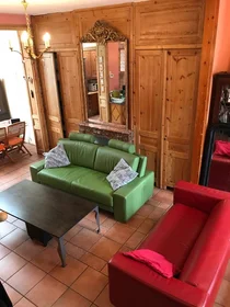 Stanza privata in Lille, 59800, immagine 1 di 10