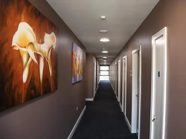 Özel oda konumu Lower Gill Street, 14 15 görüntüsü