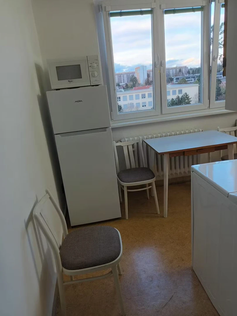 W pełni umeblowane mieszkanie w Brno