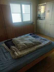 Cheap private room in Mainz