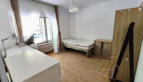 Private room at Paseo de S. Fco. de Sales, 28003 Madrid, Spain, image 1 of 20