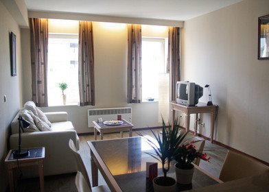 Luminoso e moderno appartamento a Anversa