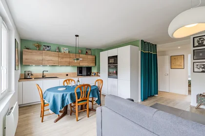 Appartamento intero in Rue Garibaldi, 3rd Arrondissement, immagine 4 di 10