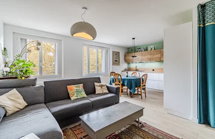 Appartamento intero in Rue Garibaldi, 3rd Arrondissement, immagine 7 di 10