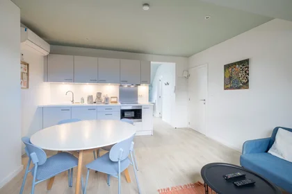 Apartamento inteiro em Rue Max Roos, Schaerbeek, imagem 9 de 10