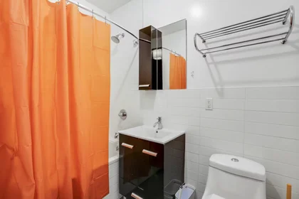Privatzimmer in der Meserole St, East Williamsburg, bild 4 von 10
