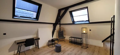 Room for rent with double bed Den-haag