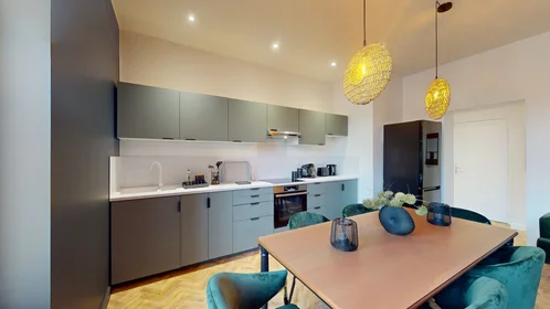 Habitación privada en 71 AVENUE DE LAON, imagen 12 de 30