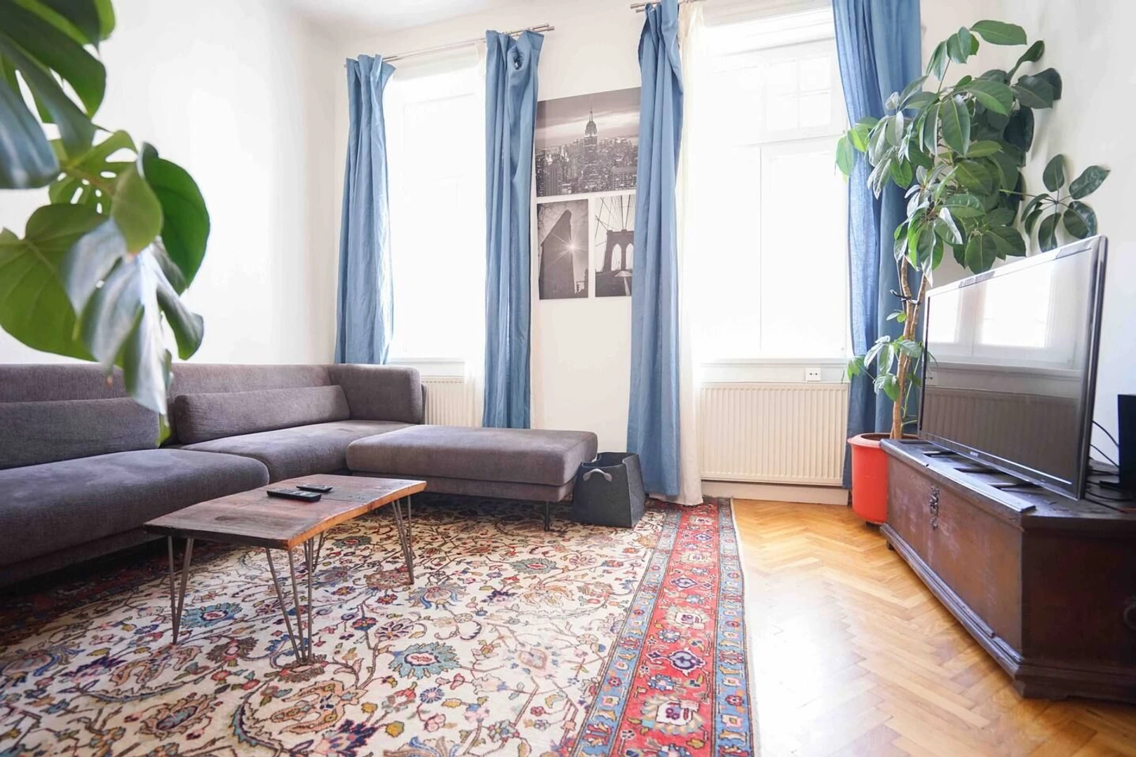 Room for rent in a shared flat in Vienna