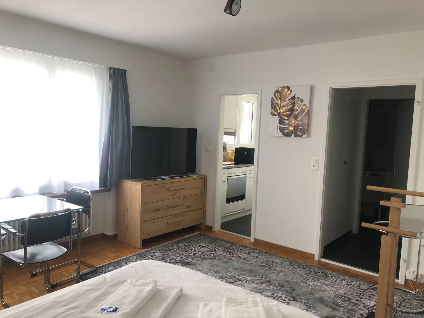Entire fully furnished flat in Zurich