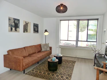 Apartamento inteiro em Graafschapstraat, Zuideramstel, imagem 1 de 10