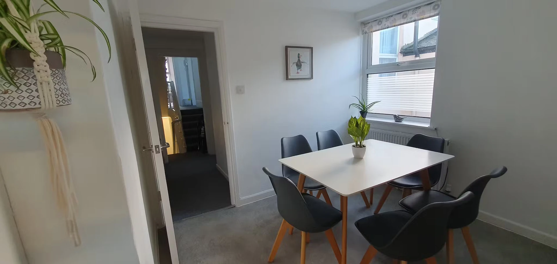 Entire fully furnished flat in Plymouth