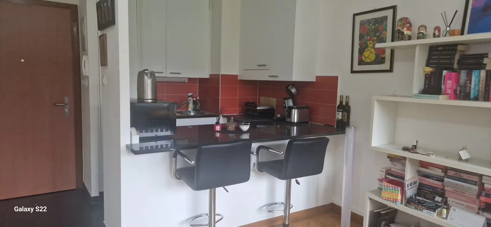 Entire fully furnished flat in Geneva