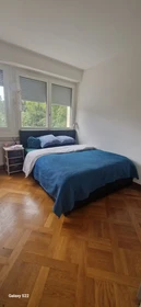 Entire fully furnished flat in Geneva