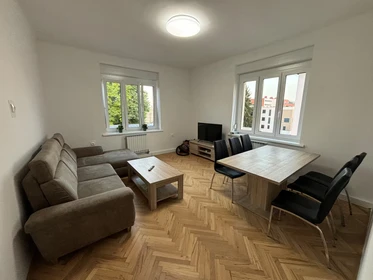 Accommodation with 3 bedrooms in Maribor