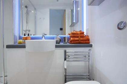 Privatzimmer in der Mannequin House Roost London E17 6SX, bild 10 von 20