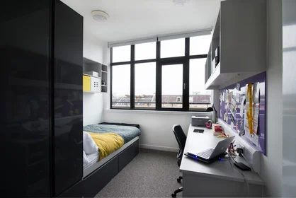Studio à Clifton an 1 Clifton Pl, image 13 de 17
