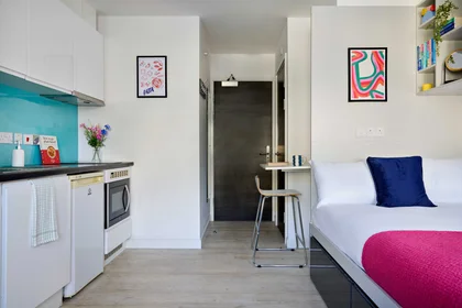 Monolocale in Clifton an 1 Clifton Pl, immagine 4 di 17