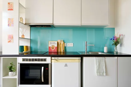 Monolocale in Clifton an 1 Clifton Pl, immagine 8 di 17