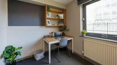 Privatzimmer in der Clarence Road, bild 19 von 20