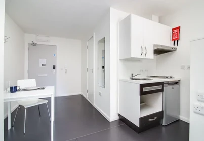 Kawalerka 291-295 Corporation Street, obraz 20 20