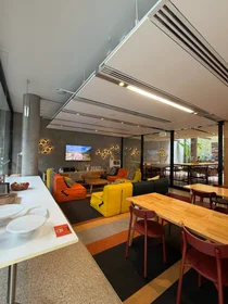 Studio in der 1 Regent St, Chippendale NSW 2008澳大利亚, bild 6 von 16
