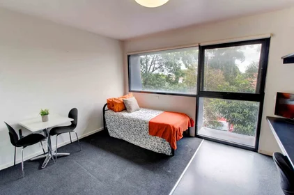 Studio at 234 Warrigal Road, image 13 of 19