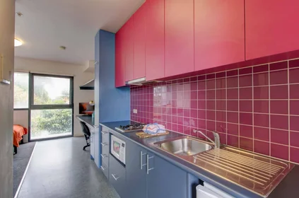 Studio at 234 Warrigal Road, image 14 of 19