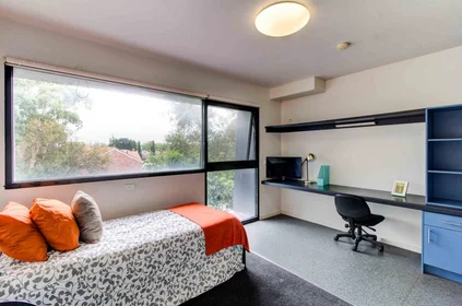Studio at 234 Warrigal Road, image 6 of 19