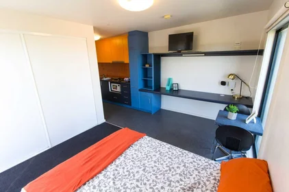 Studio at 234 Warrigal Road, image 7 of 19