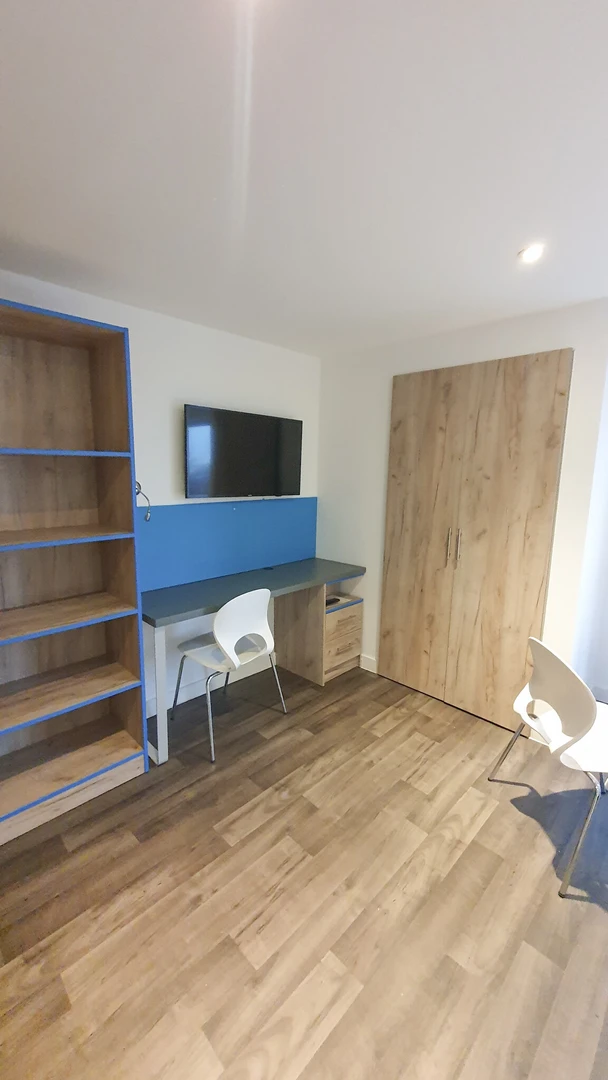 Very bright studio for rent in Leicester